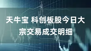 天牛宝 科创板股今日大宗交易成交明细