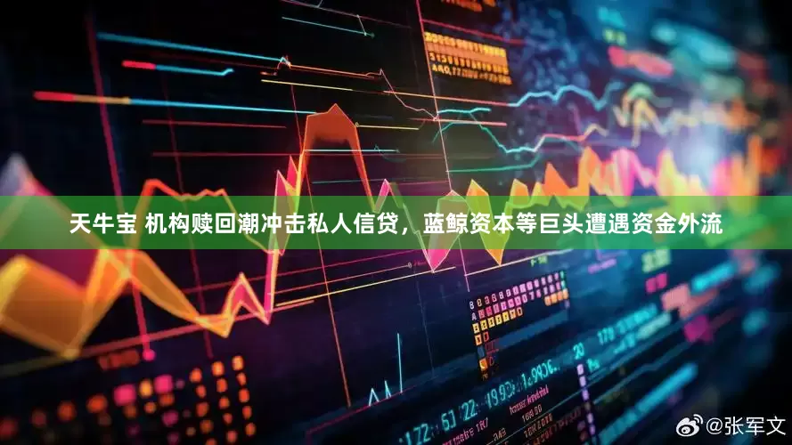 天牛宝 机构赎回潮冲击私人信贷，蓝鲸资本等巨头遭遇资金外流