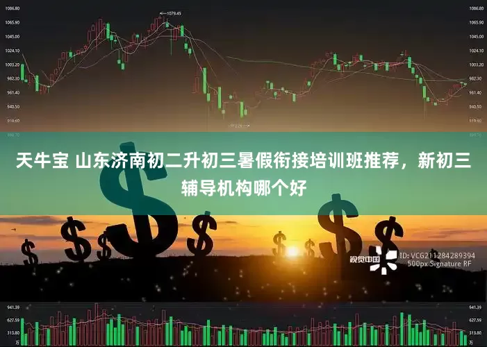 天牛宝 山东济南初二升初三暑假衔接培训班推荐，新初三辅导机构哪个好